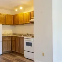 Our Gallery